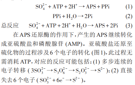 腾博会官网·专业效劳,诚信为本