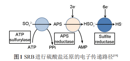 腾博会官网·专业效劳,诚信为本