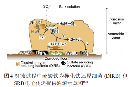 腾博会官网·专业效劳,诚信为本